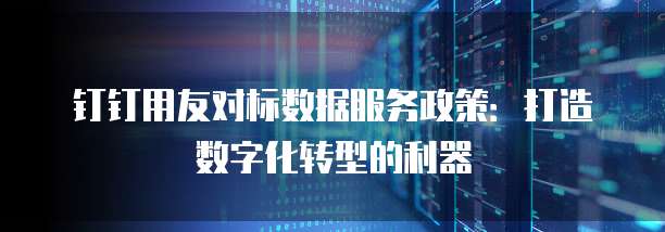 钉钉用友对标数据服务政策：打造数字化转型的利器