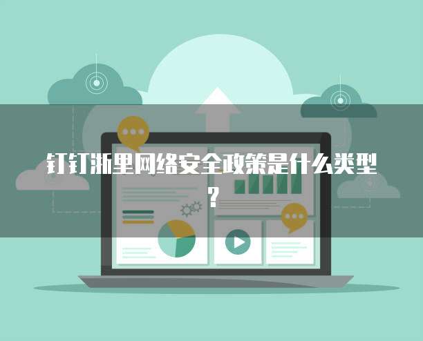 钉钉浙里网络安全政策是什么类型?