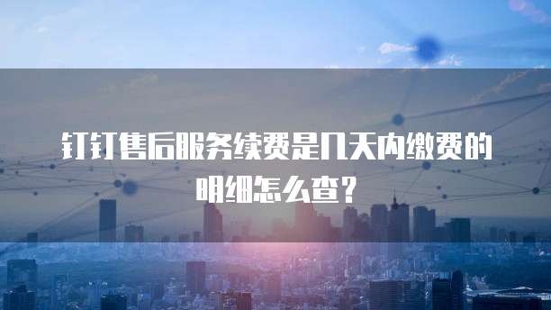 钉钉售后服务续费是几天内缴费的明细怎么查?