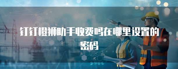 钉钉橙狮助手收费吗在哪里设置的密码