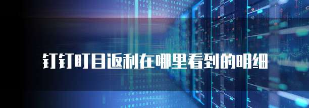 钉钉盯目返利在哪里看到的明细