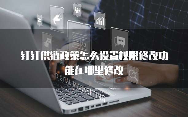 钉钉供链政策怎么设置权限修改功能在哪里修改