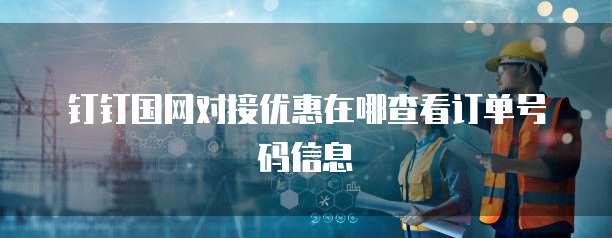 钉钉国网对接优惠在哪查看订单号码信息