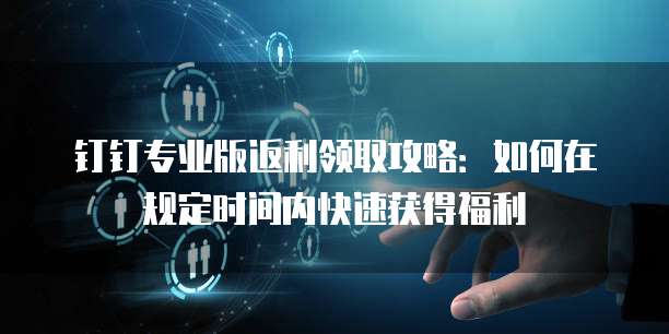 钉钉专业版返利领取攻略:如何在规定时间内快速获得福利