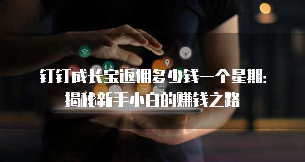钉钉成长宝返佣多少钱一个星期:揭秘新手小白的赚钱之路