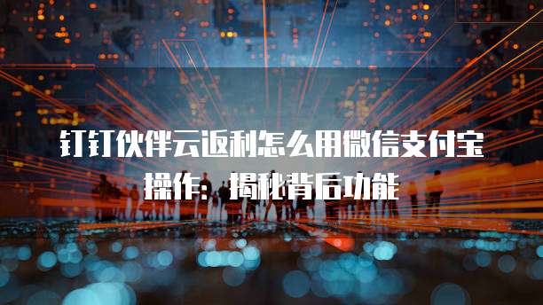 钉钉伙伴云返利怎么用微信支付宝操作:揭秘背后功能