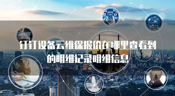 钉钉设备云维保报价在哪里查看到的明细记录明细信息