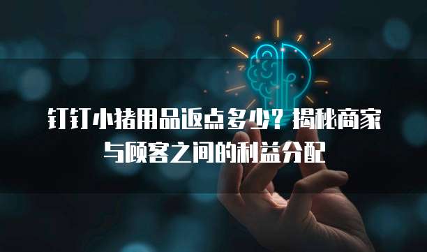 钉钉小猪用品返点多少?揭秘商家与顾客之间的利益分配