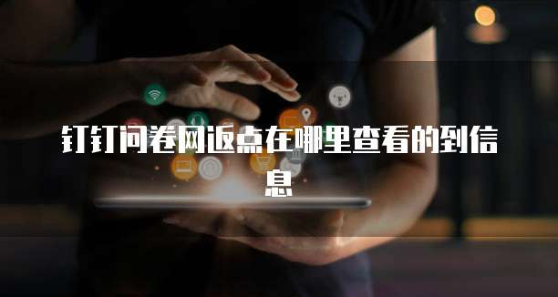 钉钉问卷网返点在哪里查看的到信息