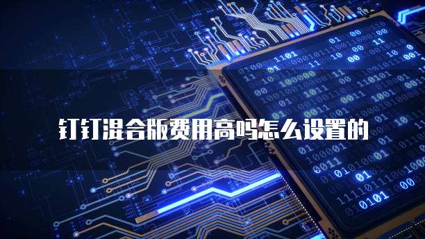 钉钉混合版费用高吗怎么设置的
