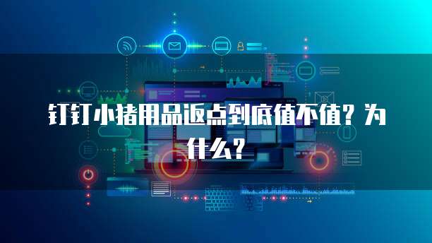 钉钉小猪用品返点到底值不值?为什么?