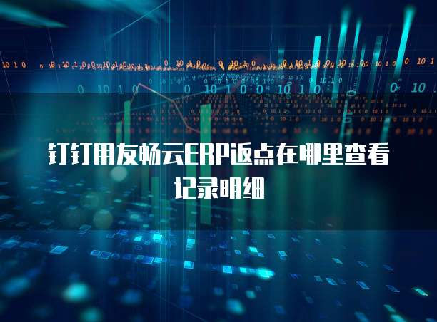 钉钉用友畅云ERP返点在哪里查看记录明细