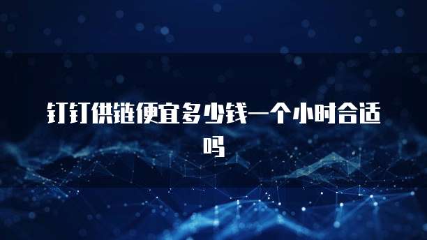 钉钉供链便宜多少钱一个小时合适吗
