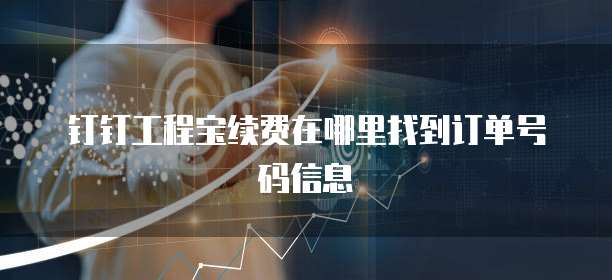 钉钉工程宝续费在哪里找到订单号码信息