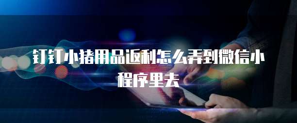 钉钉小猪用品返利怎么弄到微信小程序里去