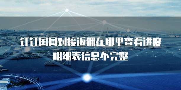 钉钉国网对接返佣在哪里查看进度明细表信息不完整