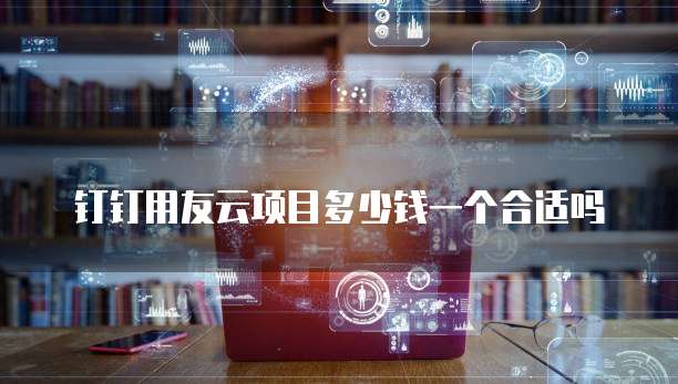 钉钉用友云项目多少钱一个合适吗