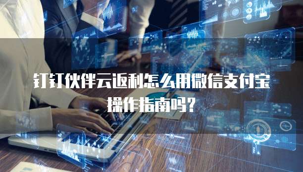钉钉伙伴云返利怎么用微信支付宝操作指南吗?