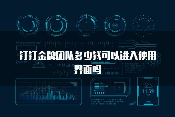 钉钉金牌团队多少钱可以进入使用界面吗