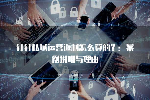 钉钉私域运营返利怎么算的?:案例说明与理由