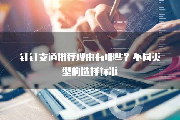 钉钉支道推荐理由有哪些?不同类型的选择标准