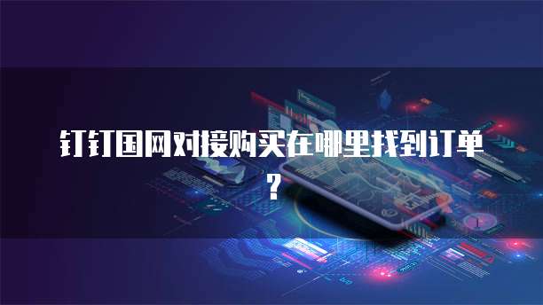 钉钉国网对接购买在哪里找到订单?