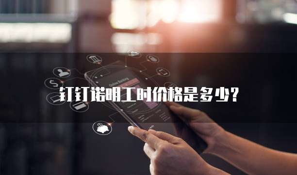 钉钉诺明工时价格是多少?