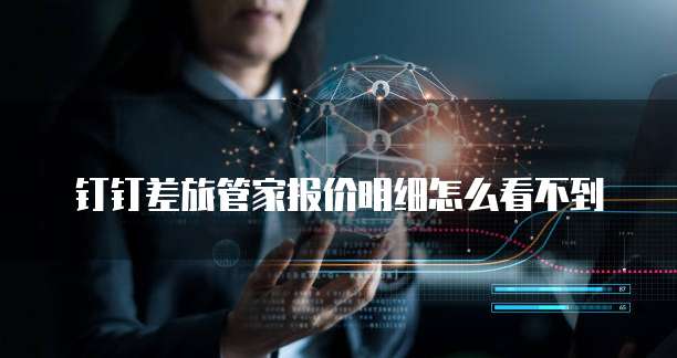 钉钉差旅管家报价明细怎么看不到