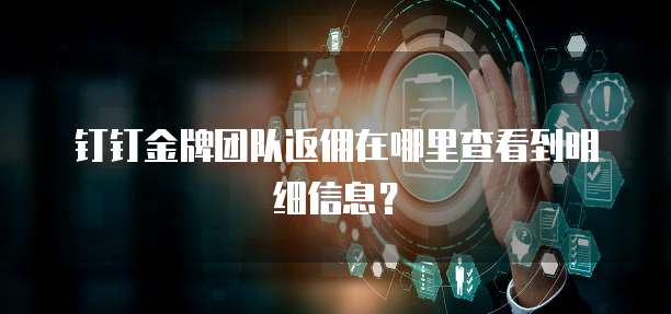 钉钉金牌团队返佣在哪里查看到明细信息?