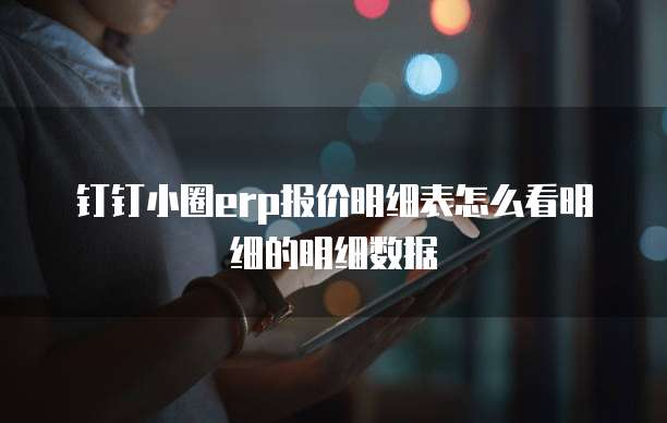 钉钉小圈erp报价明细表怎么看明细的明细数据