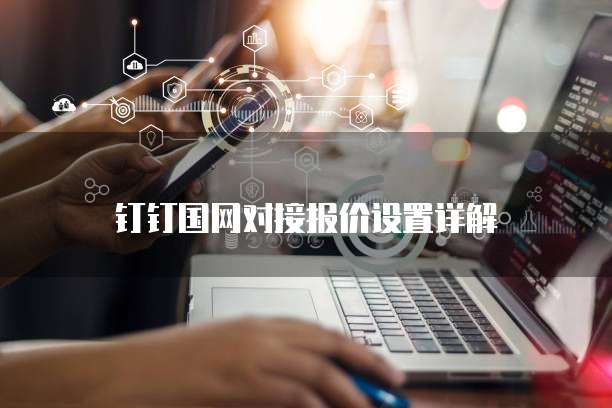 钉钉国网对接报价设置详解