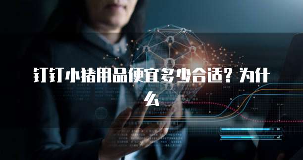 钉钉小猪用品便宜多少合适?为什么