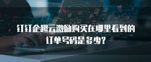 钉钉企趣云激励购买在哪里看到的订单号码是多少?
