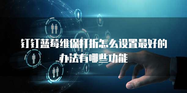 钉钉蓝莓维保打折怎么设置最好的办法有哪些功能