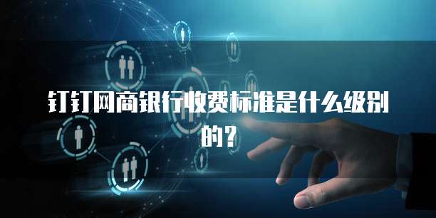 钉钉网商银行收费标准是什么级别的?