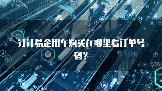 钉钉易企用车购买在哪里看订单号码?