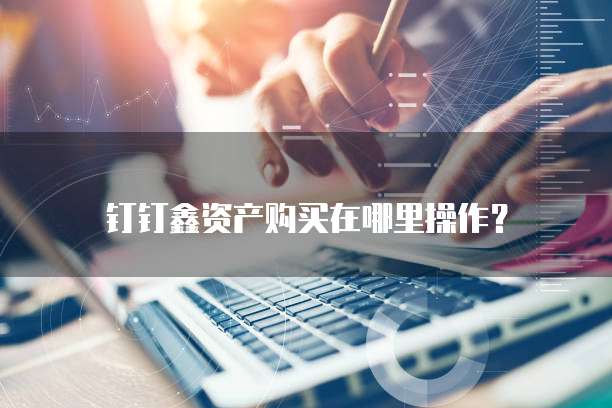 钉钉鑫资产购买在哪里操作?