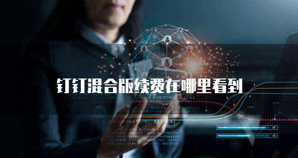 钉钉混合版续费在哪里看到