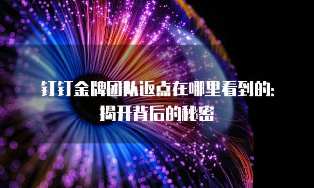 钉钉金牌团队返点在哪里看到的:揭开背后的秘密