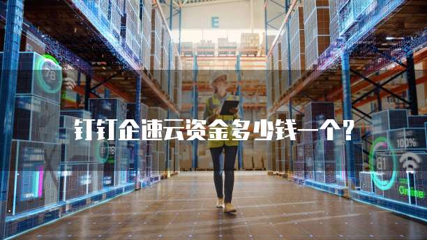 钉钉企速云资金多少钱一个?