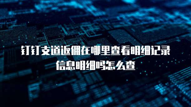 钉钉支道返佣在哪里查看明细记录信息明细吗怎么查