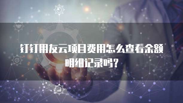 钉钉用友云项目费用怎么查看余额明细记录吗?