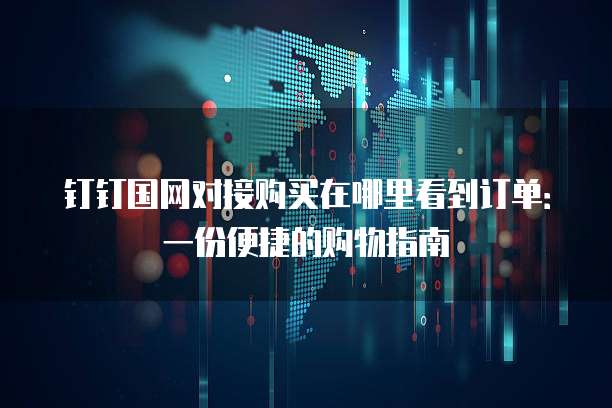 钉钉国网对接购买在哪里看到订单:一份便捷的购物指南