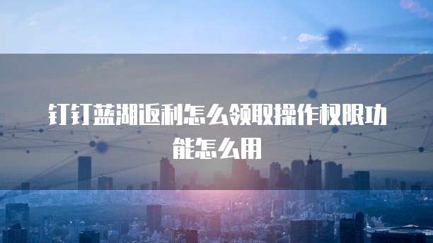 钉钉蓝湖返利怎么领取操作权限功能怎么用