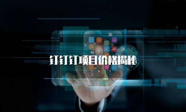 钉钉钉项目价格揭秘