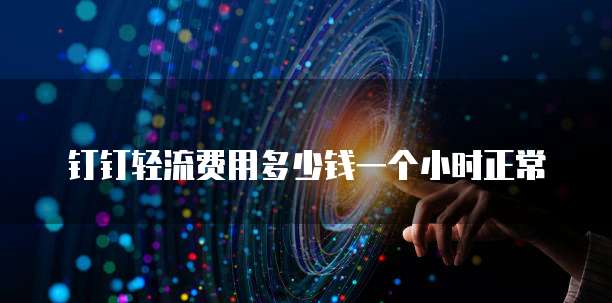 钉钉轻流费用多少钱一个小时正常