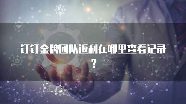 钉钉金牌团队返利在哪里查看记录?