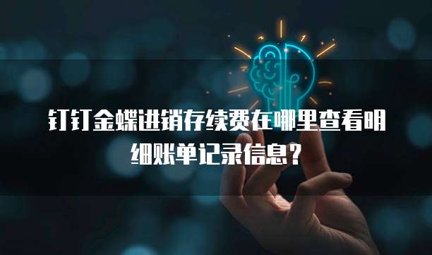 钉钉金蝶进销存续费在哪里查看明细账单记录信息?