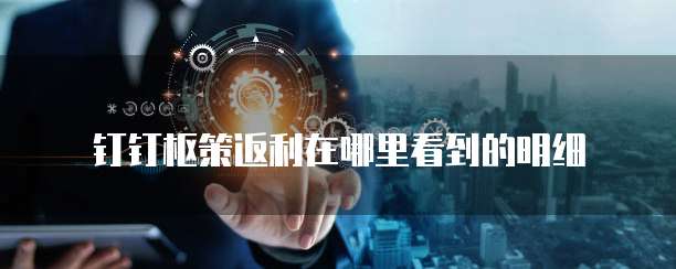 钉钉枢策返利在哪里看到的明细