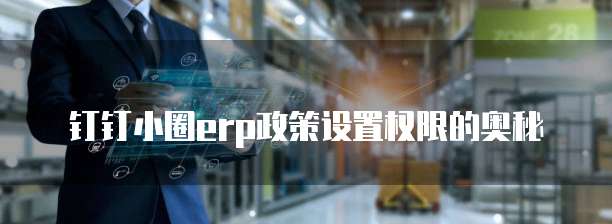 钉钉小圈erp政策设置权限的奥秘